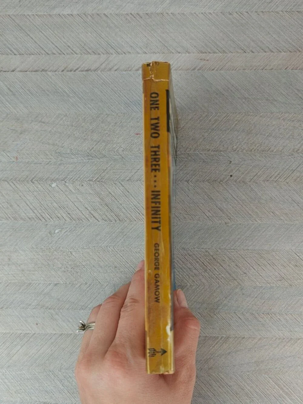 One Two Three… Infinity George Gamow 1957 Paperback Marvel's of Science